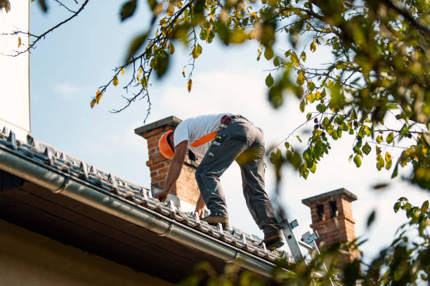Best Roof Moss and Algae Removal  in West Middlesex, PA