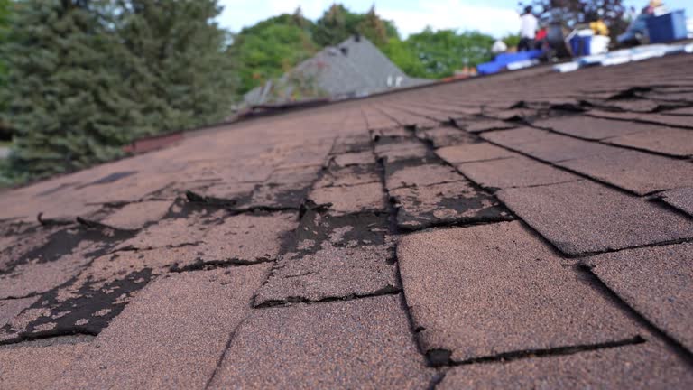 Asphalt Shingles Roofing in West Middlesex, PA